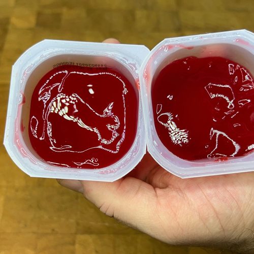 defrosted red jello next to fresh jello