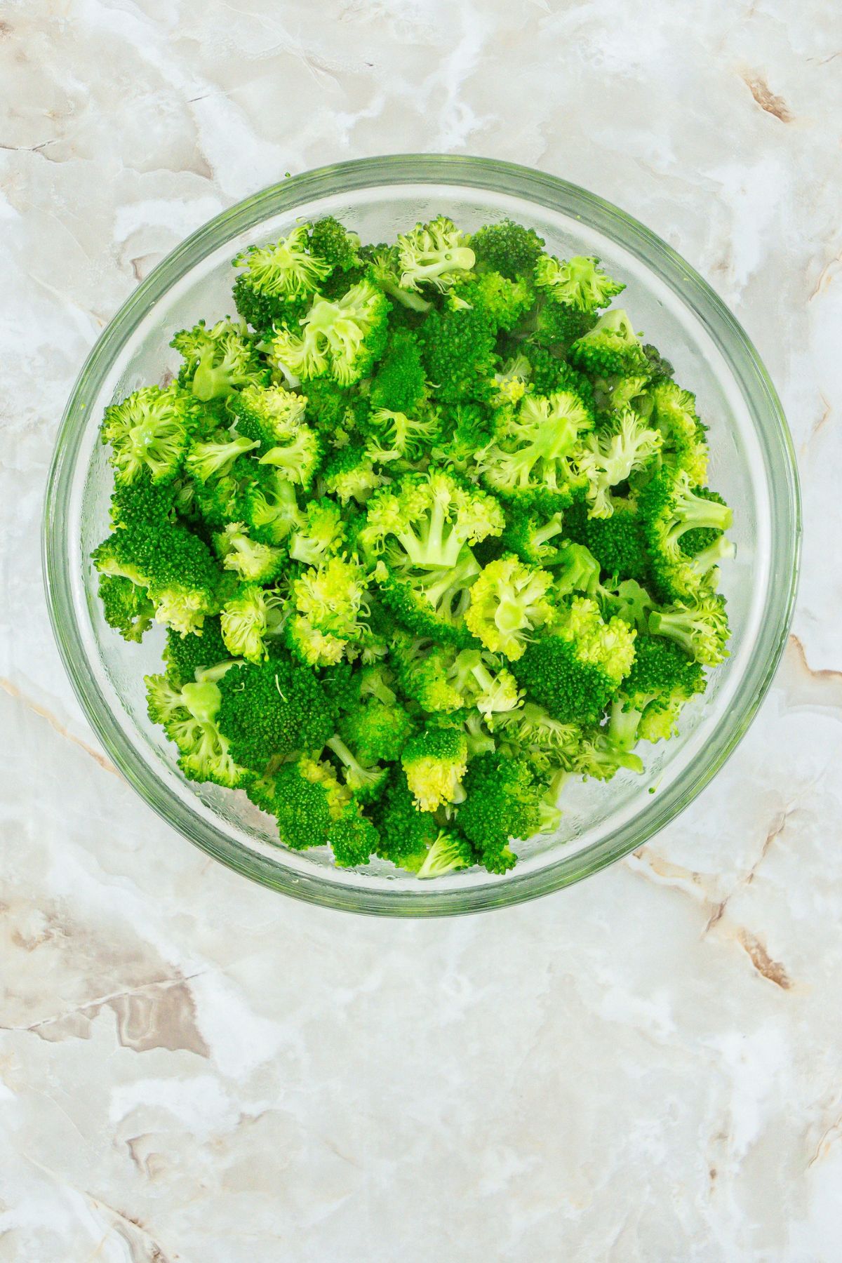 Chopped broccoli in a bowl.
